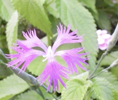60D68D76-3BF5-49B8-B096-1911D395EFA1