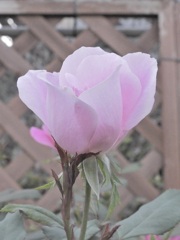 C36B87AD-78A2-4D77-A9B2-6A4006E1EA99