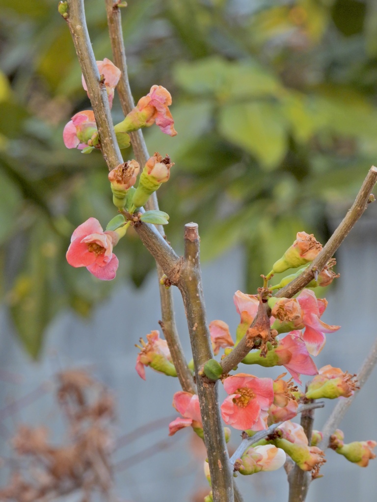 1ECB789C-74B1-440A-88CC-94A2915AB377