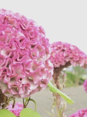 6A22E66F-8180-43D7-AB86-00BA78468408