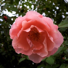 AAFB5D03-F975-4C8E-9723-9F8FD1531751