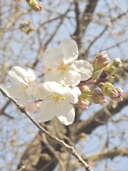6B55C7AA-6CC2-4669-B725-5045808E54F6