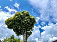 0209A008-1232-43B6-8C06-5AE06EB7FCDA