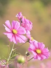 643C4483-9FFD-48AA-8D8E-83A995EA96CF