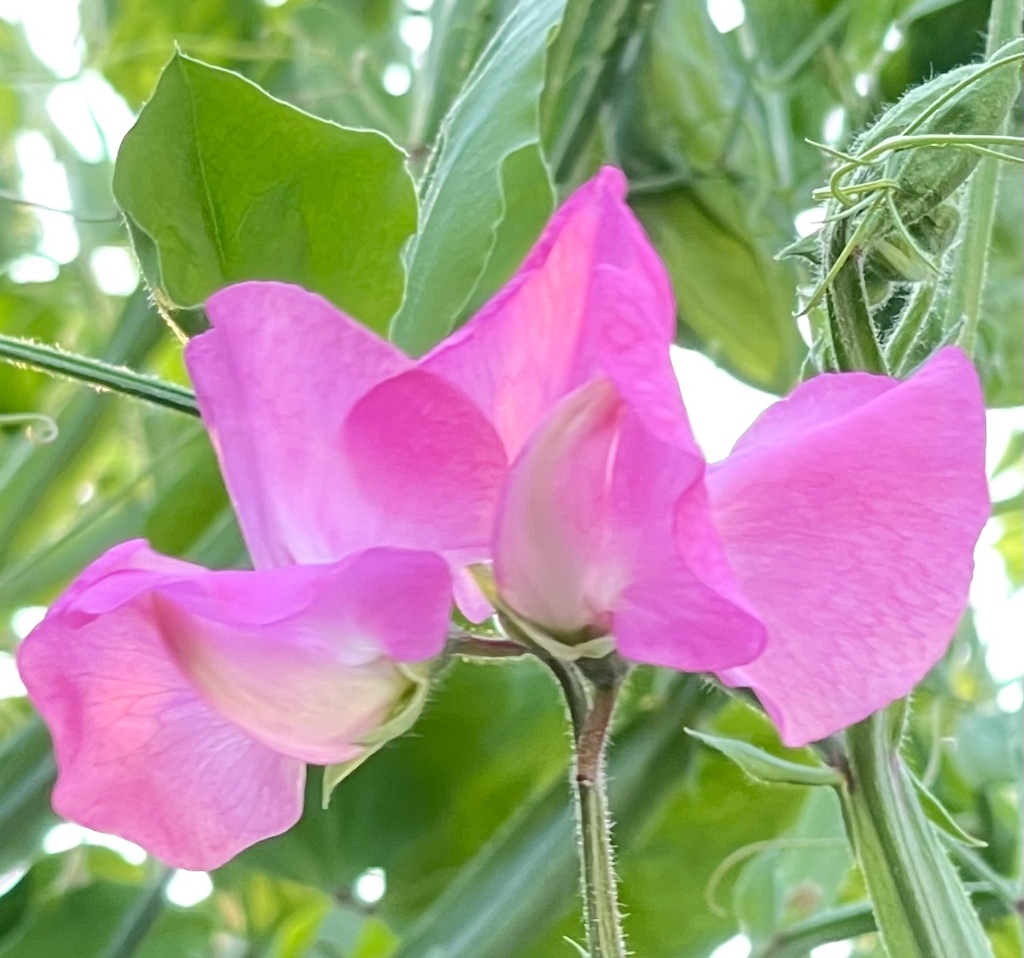 3876286D-8A8F-4F14-8D48-E7D4FFFDFB4C