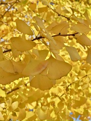 6F5979AC-0054-43A4-B17E-50045964E12A
