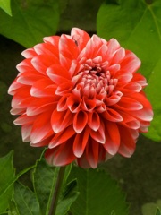 EF047640-38BD-4D9A-A841-F94F7C2339EE