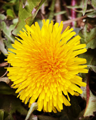 69E3B7F0-8754-46CB-80E6-1C110766FC94