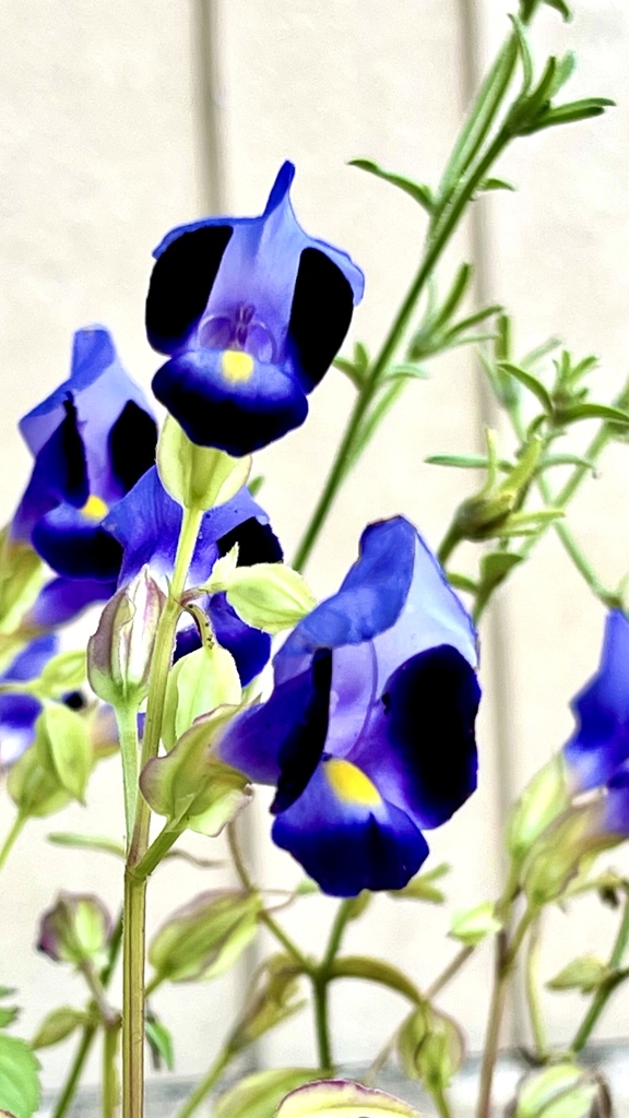 88499772-AF6A-4903-92D2-E2EC1D1A6A1B