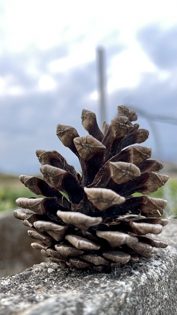 B52B814B-1493-46C5-B8DE-8FEF89E45BEC