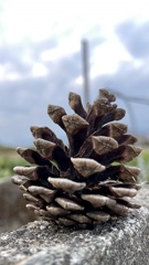 B52B814B-1493-46C5-B8DE-8FEF89E45BEC