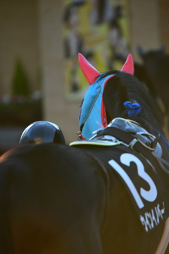 中京競馬場にて。