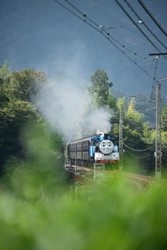 機関車トーマス号！