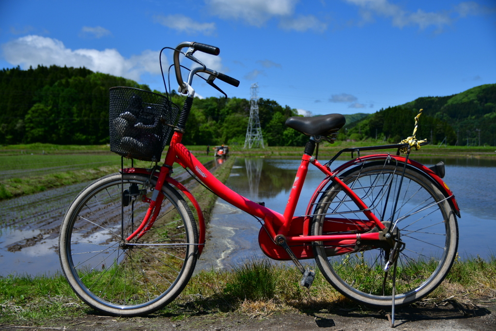 田植えに赤い自転車