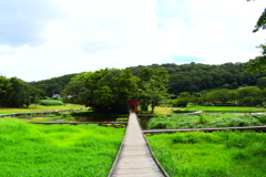 神奈川県中井町厳島神社