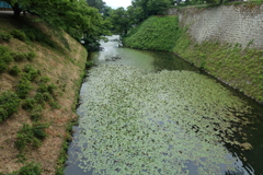 会津若松　鶴ヶ城