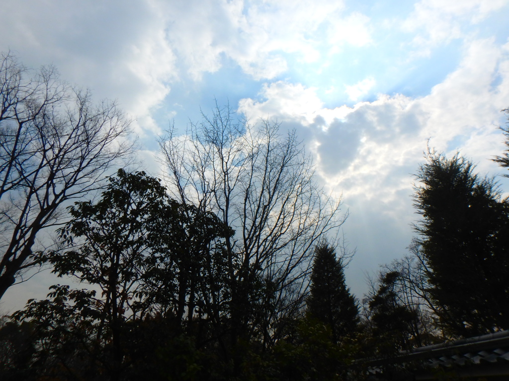 P2260927 (1)