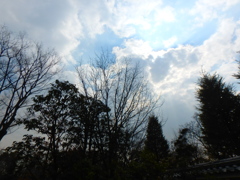 P2260927 (1)