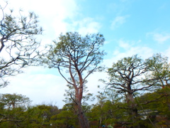 P2260923 (1)
