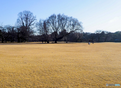 静かな公園