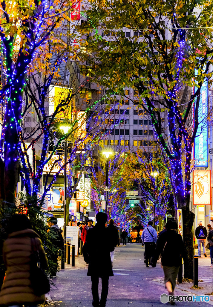 夜の西新宿界隈
