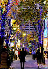 夜の西新宿界隈