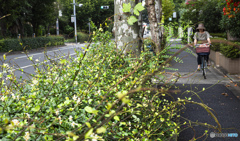 静かなひと時