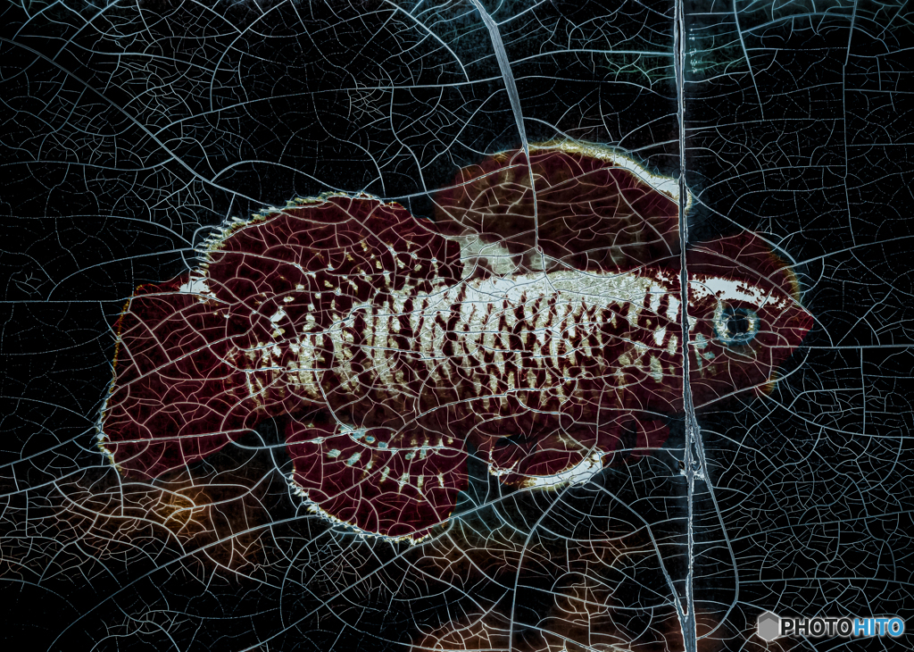 ひび割れた看板