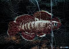 ひび割れた看板