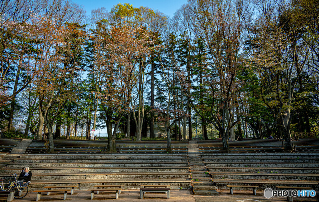 公園の一隅