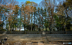 公園の一隅