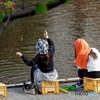 釣り堀