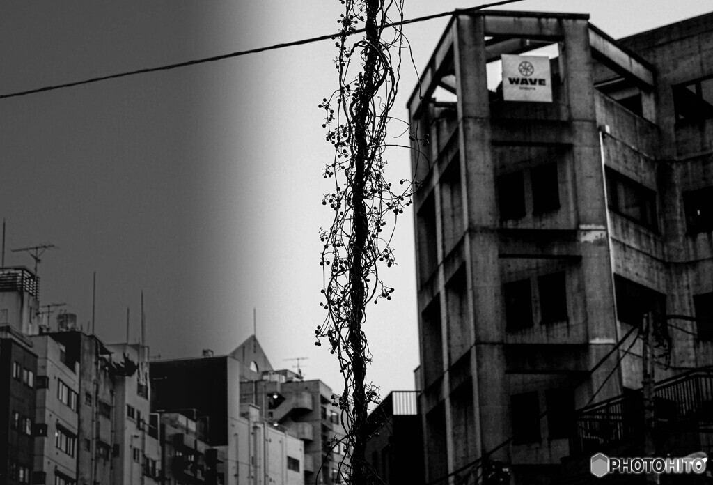 虚と現実の世界