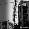 虚と現実の世界