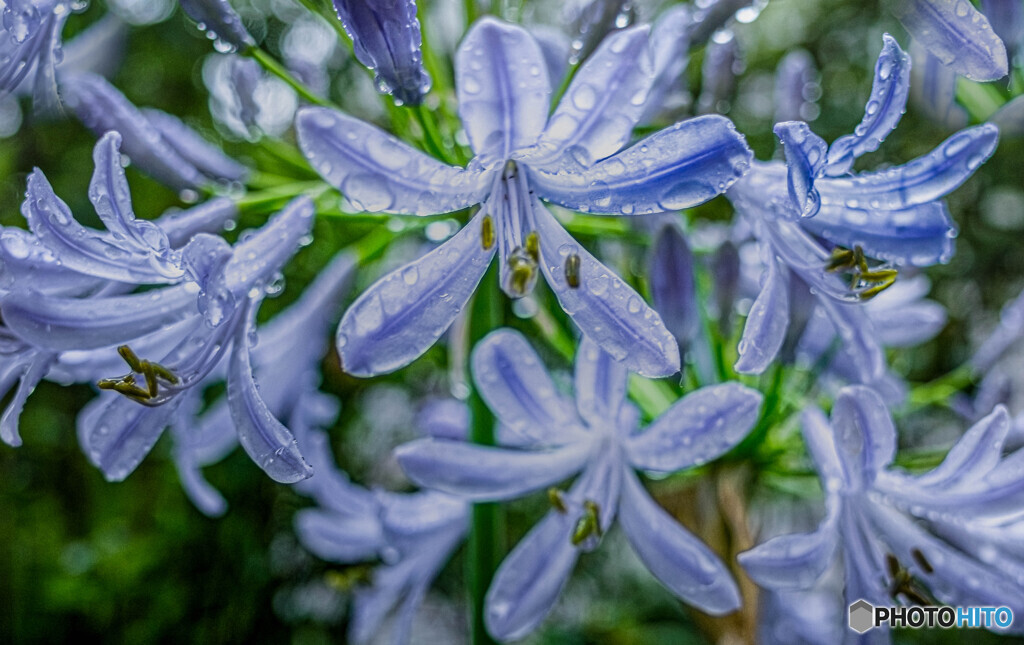雨のなか