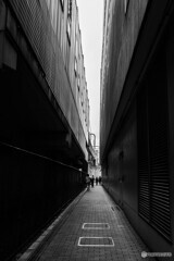 都会の谷間