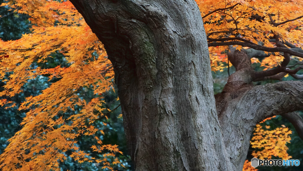 静寂のなかに