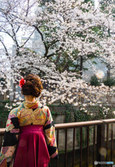 なにを思う卒業の日