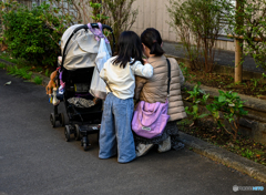 親子の会話
