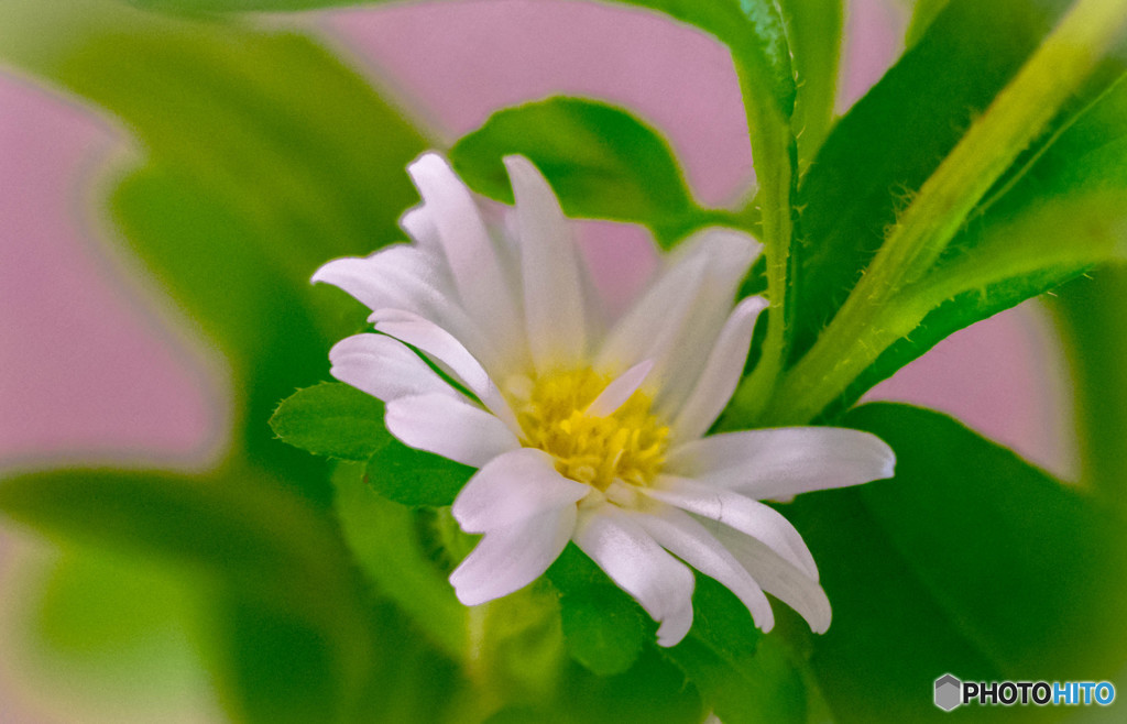 仮想の世界から