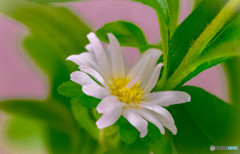 仮想の世界から