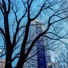 新宿にて