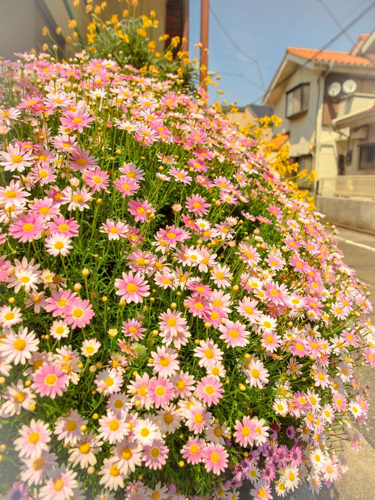 渋谷街角