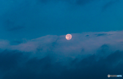 早朝の月