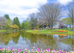 春の公園