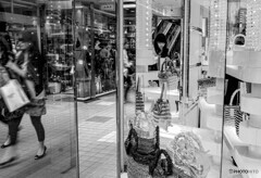 show window