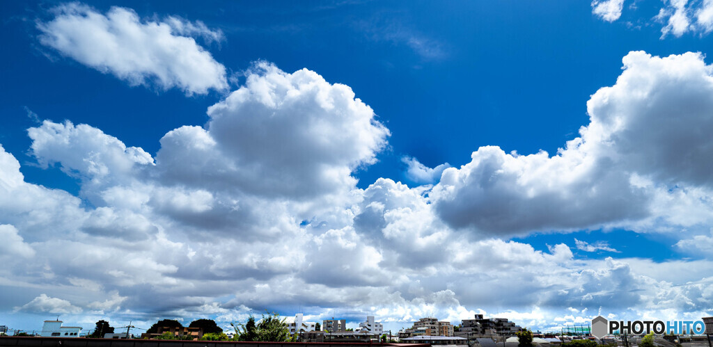 夏の空