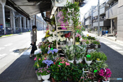 生花店