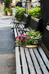 歩道わきのベンチ