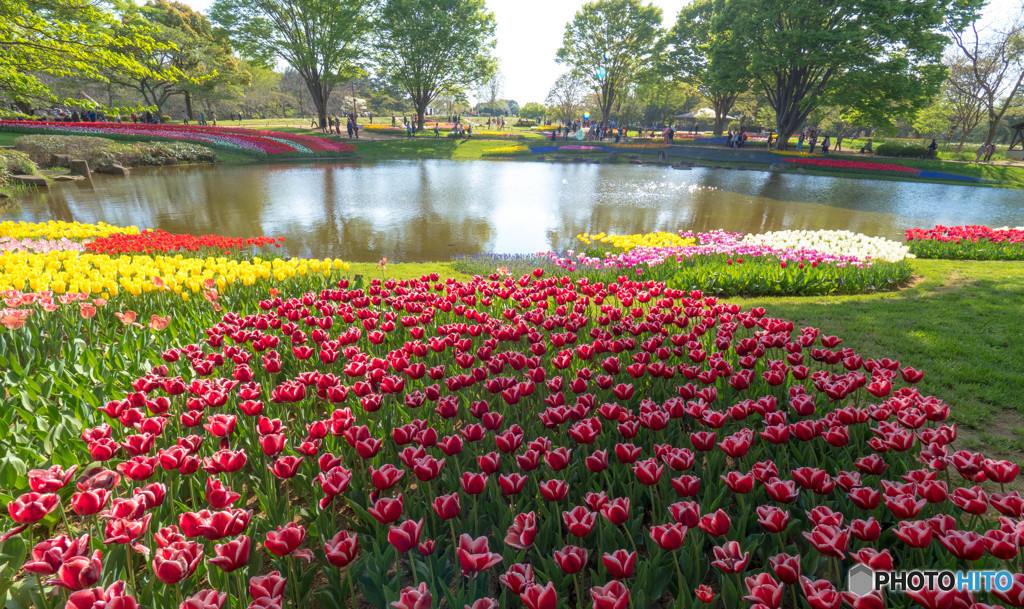 春の公園